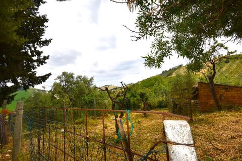 Landejendom i Ripatransone, Ascoli Piceno, Ripatransone - € 105.000 | Ref: 33527 - foto 13