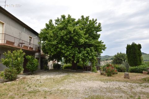 Landejendom i Ripatransone, Ascoli Piceno, Ripatransone - € 105.000 | Ref: 33527 - foto 16
