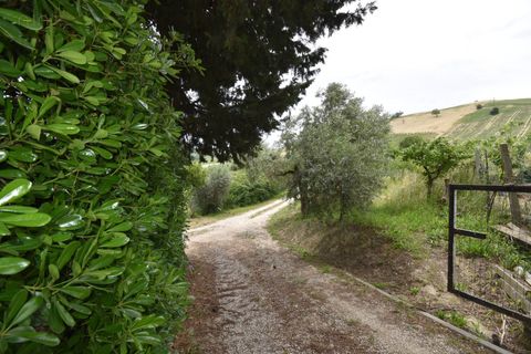 Landejendom i Ripatransone, Ascoli Piceno, Ripatransone - € 105.000 | Ref: 33527 - foto 28