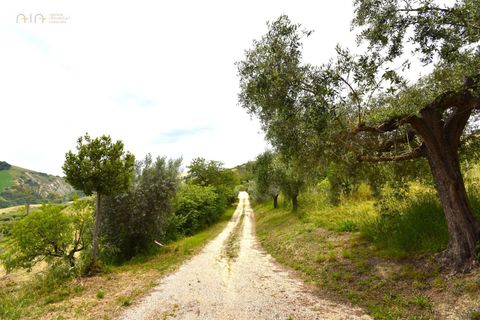 Landejendom i Ripatransone, Ascoli Piceno, Ripatransone - € 105.000 | Ref: 33527 - foto 29
