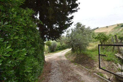 Landejendom i Ripatransone, Ascoli Piceno, Ripatransone - € 105.000 | Ref: 33527 - foto 45