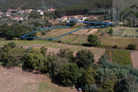 Helårsgrund i Gois, Coimbra, Gois - € 45.000 | Ref: 652 - foto 3