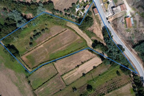 Helårsgrund i Gois, Coimbra, Gois - € 45.000 | Ref: 652 - foto 4