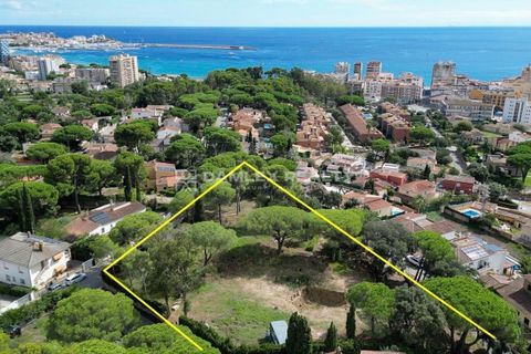 Helårsgrund i Calonge, Gerona, Calonge - € 2.200.000 | Ref: 75024 - foto 11