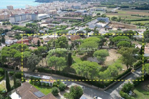 Helårsgrund i Calonge, Gerona, Calonge - € 2.200.000 | Ref: 75024 - foto 23