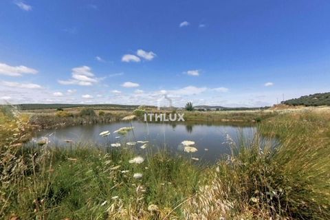 Granja a Elvas, Portalegre, Elvas - € 1.100.000 | Ref: ITH3449 - foto 5