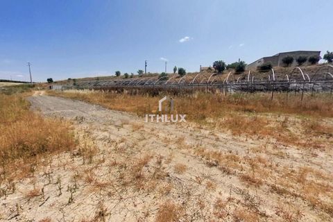 Granja a Elvas, Portalegre, Elvas - € 1.100.000 | Ref: ITH3449 - foto 11