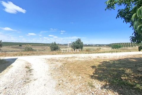 Granja a Elvas, Portalegre, Elvas - € 1.100.000 | Ref: ITH3449 - foto 12