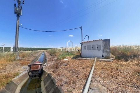 Granja a Elvas, Portalegre, Elvas - € 1.100.000 | Ref: ITH3449 - foto 16