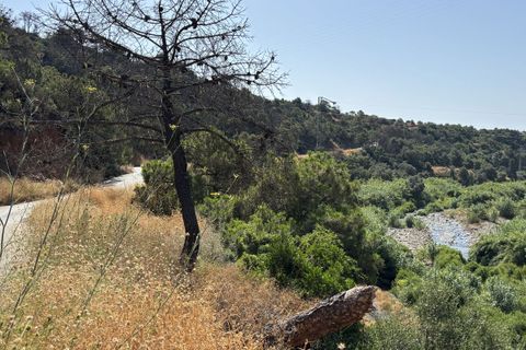 Helårsgrund i El Padron, Malaga, El Padron - € 375.000 | Ref: R5082952 - foto 1