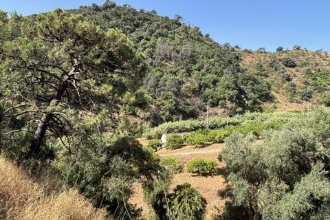 Helårsgrund i El Padron, Malaga, El Padron - € 375.000 | Ref: R5082952 - foto 3