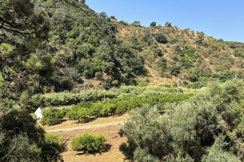 Helårsgrund i El Padron, Malaga, El Padron - € 375.000 | Ref: R5082952 - foto 4