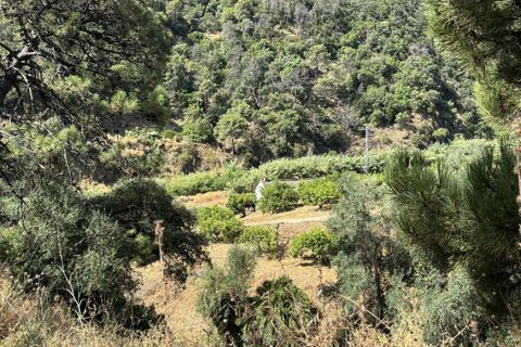 Helårsgrund i El Padron, Malaga, El Padron - € 375.000 | Ref: R5082952 - foto 5