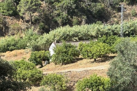 Helårsgrund i El Padron, Malaga, El Padron - € 375.000 | Ref: R5082952 - foto 6