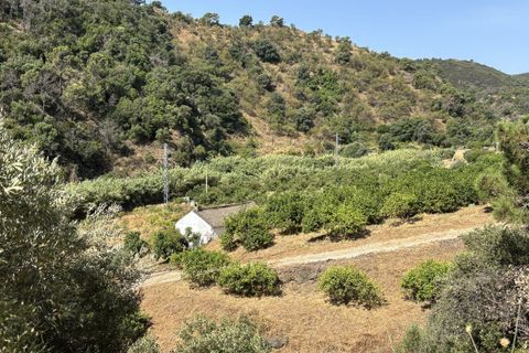 Helårsgrund i El Padron, Malaga, El Padron - € 375.000 | Ref: R5082952 - foto 7