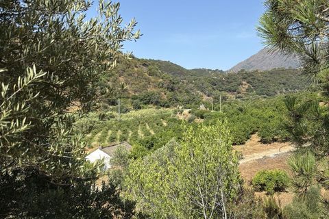 Helårsgrund i El Padron, Malaga, El Padron - € 375.000 | Ref: R5082952 - foto 8