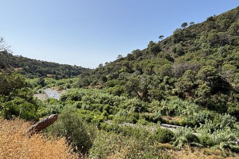 Helårsgrund i El Padron, Malaga, El Padron - € 375.000 | Ref: R5082952 - foto 9