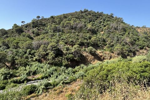 Helårsgrund i El Padron, Malaga, El Padron - € 375.000 | Ref: R5082952 - foto 10