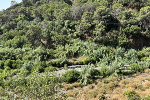 Helårsgrund i El Padron, Malaga, El Padron - € 375.000 | Ref: R5082952 - foto 11