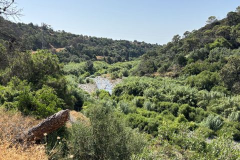 Helårsgrund i El Padron, Malaga, El Padron - € 375.000 | Ref: R5082952 - foto 12