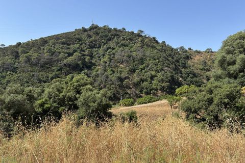 Helårsgrund i El Padron, Malaga, El Padron - € 375.000 | Ref: R5082952 - foto 13