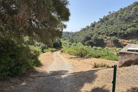 Helårsgrund i El Padron, Malaga, El Padron - € 375.000 | Ref: R5082952 - foto 14