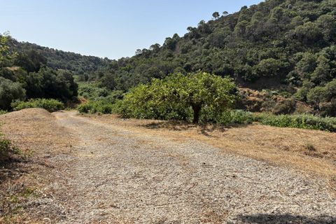 Helårsgrund i El Padron, Malaga, El Padron - € 375.000 | Ref: R5082952 - foto 16
