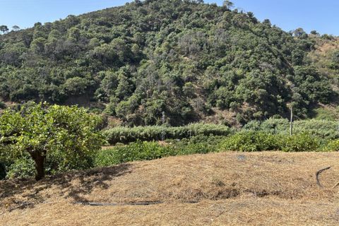 Helårsgrund i El Padron, Malaga, El Padron - € 375.000 | Ref: R5082952 - foto 17