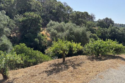 Helårsgrund i El Padron, Malaga, El Padron - € 375.000 | Ref: R5082952 - foto 18