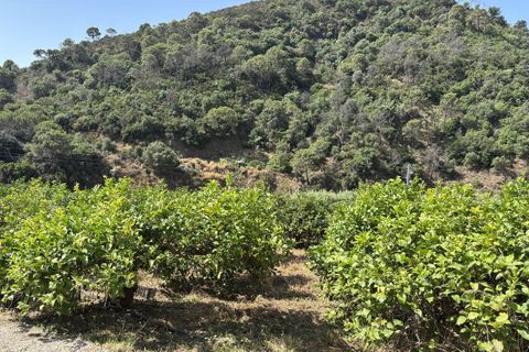 Helårsgrund i El Padron, Malaga, El Padron - € 375.000 | Ref: R5082952 - foto 19