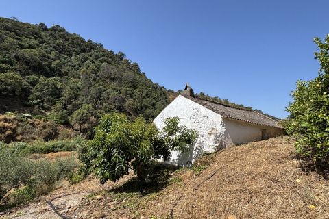 Helårsgrund i El Padron, Malaga, El Padron - € 375.000 | Ref: R5082952 - foto 20
