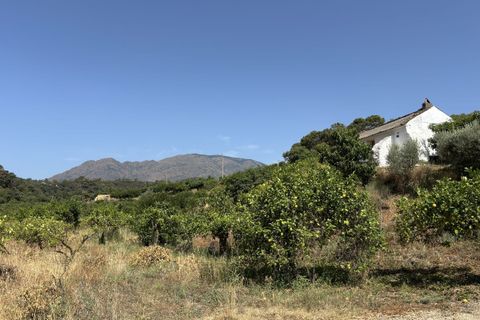 Helårsgrund i El Padron, Malaga, El Padron - € 375.000 | Ref: R5082952 - foto 21