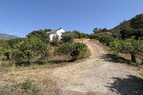 Helårsgrund i El Padron, Malaga, El Padron - € 375.000 | Ref: R5082952 - foto 22