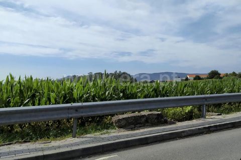 Helårsgrund i Barcelos, Braga, Barcelos - € 1.100.000 | Ref: 360200028 - foto 3