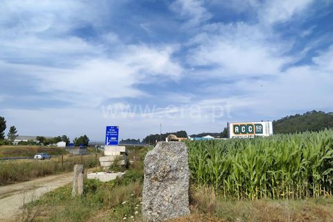 Helårsgrund i Barcelos, Braga, Barcelos - € 1.100.000 | Ref: 360200028 - foto 4