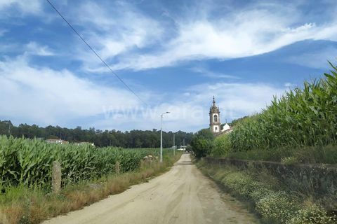 Helårsgrund i Barcelos, Braga, Barcelos - € 1.100.000 | Ref: 360200028 - foto 5