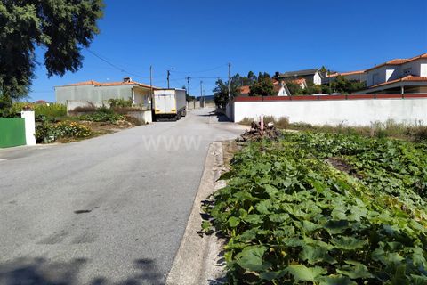 Helårsgrund i Barcelos, Braga, Barcelos - € 100.000 | Ref: 360200029 - foto 3