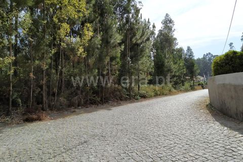 Helårsgrund i Barcelos, Braga, Barcelos - € 400.000 | Ref: 360200027 - foto 4