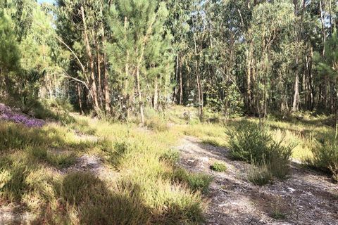 Helårsgrund i Barcelos, Braga, Barcelos - € 165.000 | Ref: 360200018 - foto 4