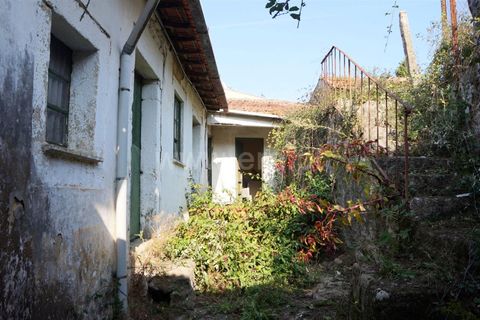 Villa i Barcelos, Braga, Barcelos - € 265.000 | Ref: 360200308 - foto 3