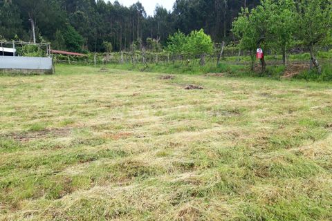 Helårsgrund i Barcelos, Braga, Barcelos - € 50.000 | Ref: 360200160 - foto 3