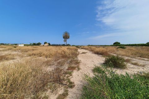 Helårsgrund i Elche, Alicante, Elche - € 395.000 | Ref: EXP10314/8930 - foto 9