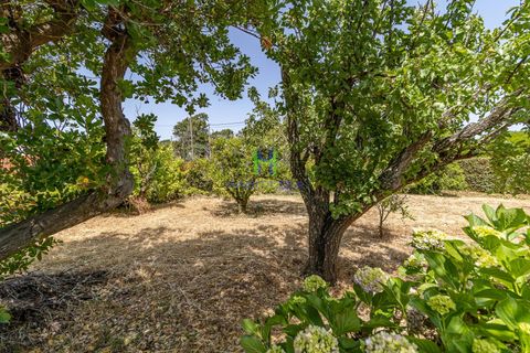 Villa i Aljezur, Faro, Aljezur - € 800.000 | Ref: CAS/313 - foto 28