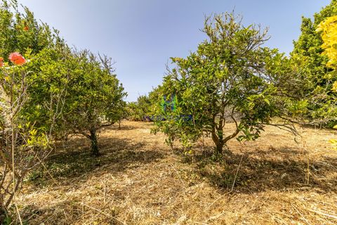Villa i Aljezur, Faro, Aljezur - € 800.000 | Ref: CAS/313 - foto 29