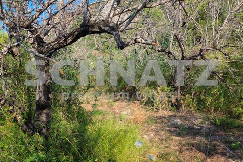 Terra a Alcalali, Alicante, Alcalali - € 110.000 | Ref: LL5301 - foto 3