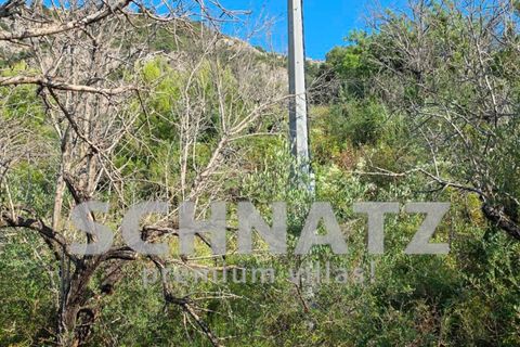 Terra a Alcalali, Alicante, Alcalali - € 110.000 | Ref: LL5301 - foto 4