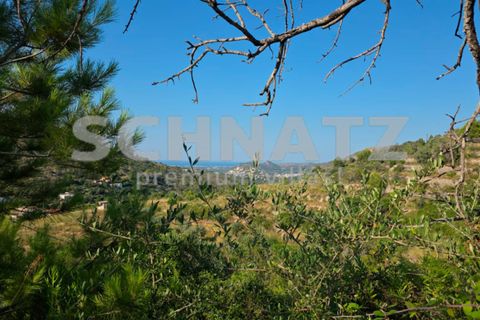 Terra a Alcalali, Alicante, Alcalali - € 110.000 | Ref: LL5301 - foto 5