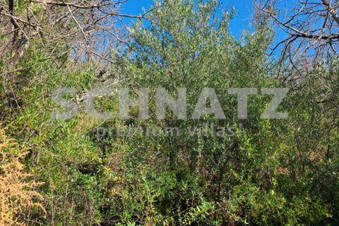 Terra a Alcalali, Alicante, Alcalali - € 110.000 | Ref: LL5301 - foto 6