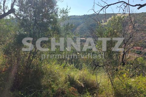 Terra a Alcalali, Alicante, Alcalali - € 110.000 | Ref: LL5301 - foto 7