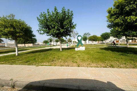 Helårsgrund i Cox, Alicante, Cox - € 275.000 | Ref: 3405-04166 - foto 5